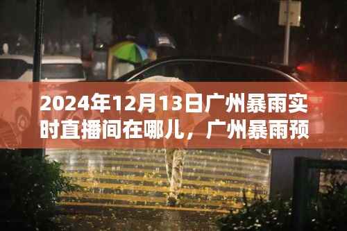 2024年广州暴雨预警及实时直播间观看指南