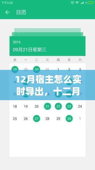 十二月宿主与朋友的奇妙导出之旅,实时操作指南