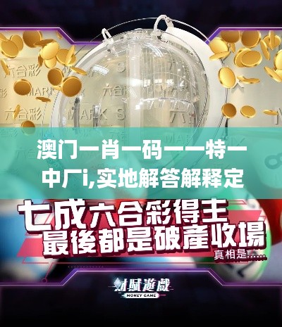 澳门一肖一码一一特一中厂i,实地解答解释定义_专属款15.242