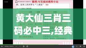 黄大仙三肖三码必中三,经典解析说明_运动版4.251