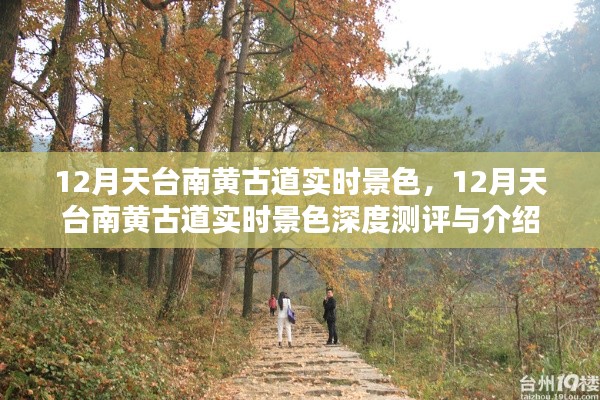 12月天台南黄古道实时景色深度解析与美丽展现