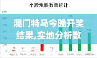 澳门特马今晚开奖结果,实地分析数据执行_eShop19.369