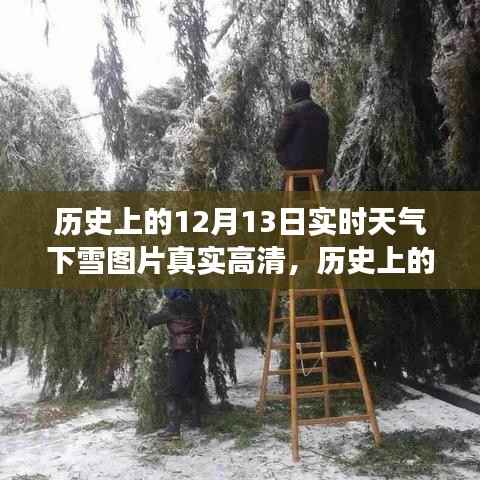 历史上的12月13日实时下雪高清图片,展现冬季雪景的迷人魅力
