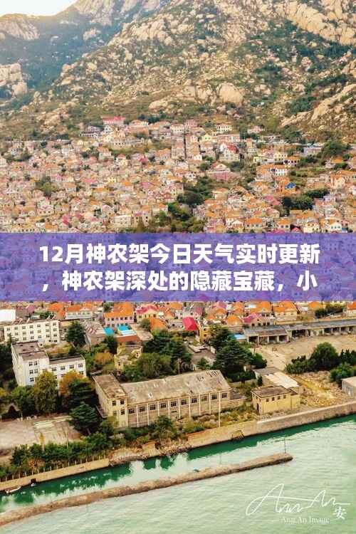 神农架深处宝藏揭秘,12月天气与小巷特色小店的奇妙交融