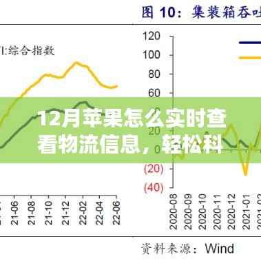 12月苹果产品物流实时跟踪指南,轻松科普如何查看物流信息