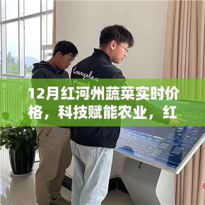 科技赋能下的红河州蔬菜实时价格智能监控,开启智慧农业新时代