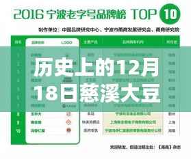 慈溪大豆期货行情全攻略,历史数据查询与实时行情查询指南(初学者与进阶用户必备)