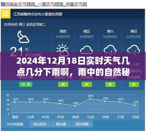 雨中秘境探索,心灵洗涤之旅——2024年12月18日实时天气下的雨中探险