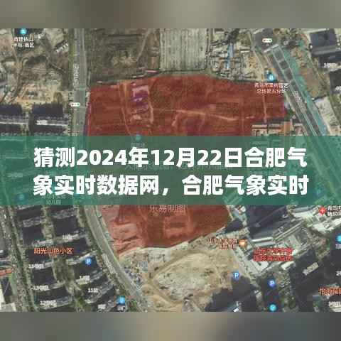 合肥气象实时数据网使用指南，预测并获取2024年12月22日气象信息