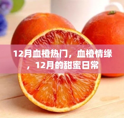 12月血橙情缘，甜蜜日常的浪漫篇章