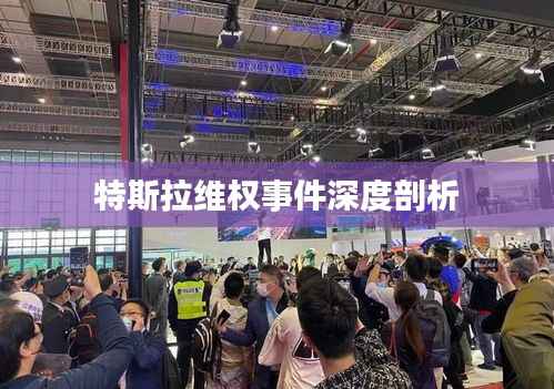 特斯拉维权事件深度剖析