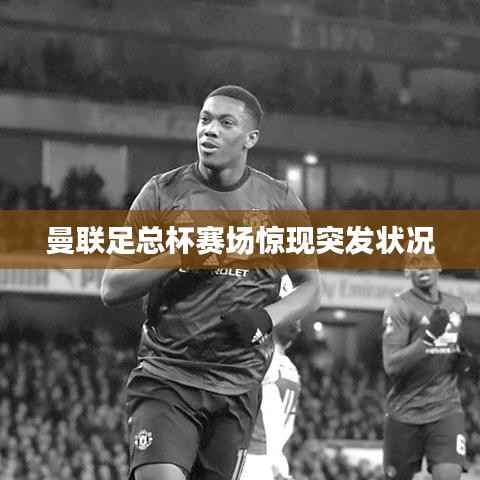 曼联足总杯赛场惊现突发状况