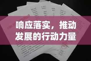 响应落实,推动发展的行动力量