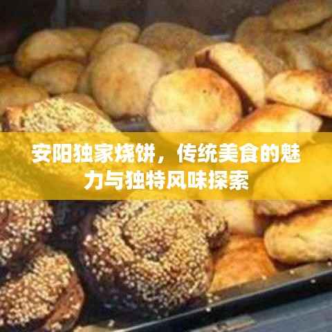 安阳独家烧饼,传统美食的魅力与独特风味探索