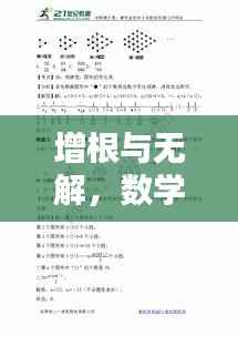 增根与无解,数学专题的深度探究