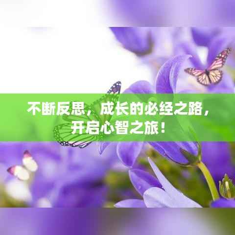 不断反思,成长的必经之路,开启心智之旅!