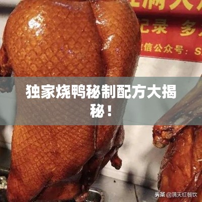独家烧鸭秘制配方大揭秘!