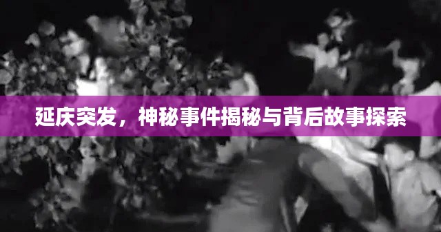 延庆突发,神秘事件揭秘与背后故事探索