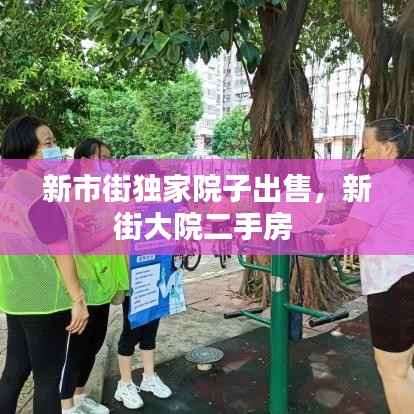 新市街独家院子出售,新街大院二手房