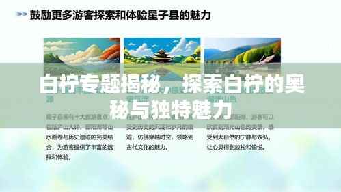 白柠专题揭秘,探索白柠的奥秘与独特魅力