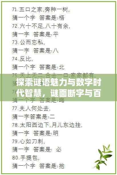 探索谜语魅力与数字时代智慧,谜面断字与百度搜索的奇妙结合