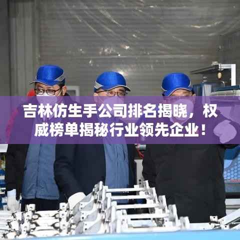 吉林仿生手公司排名揭晓,权威榜单揭秘行业领先企业!