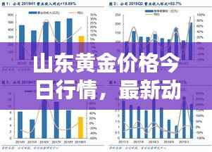 山东黄金价格今日行情,最新动态、深度分析与查询