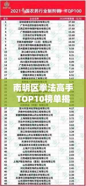 南明区拳法高手TOP10榜单揭晓!