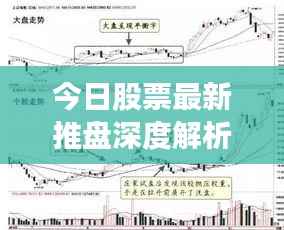 今日股票最新推盘深度解析
