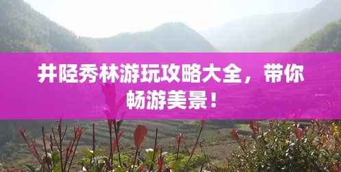 井陉秀林游玩攻略大全,带你畅游美景!