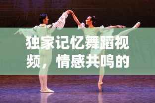 独家记忆舞蹈视频,情感共鸣的绝美舞动