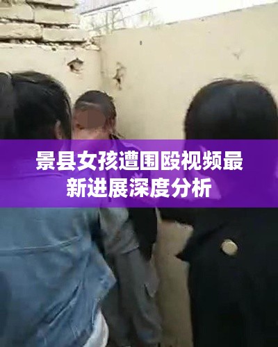 景县女孩遭围殴视频最新进展深度分析