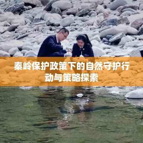 秦岭保护政策下的自然守护行动与策略探索