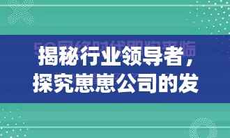 揭秘行业领导者,探究崽崽公司的发展之路与排名