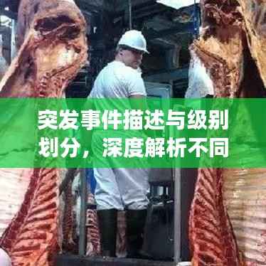 突发事件描述与级别划分,深度解析不同级别的紧急状况!