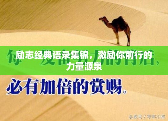 励志经典语录集锦,激励你前行的力量源泉
