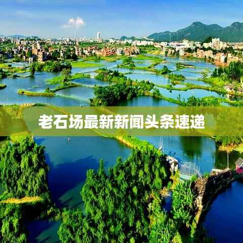老石场最新新闻头条速递