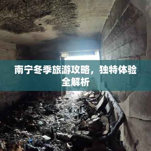 南宁冬季旅游攻略,独特体验全解析