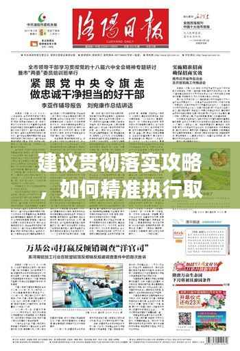 建议贯彻落实攻略，如何精准执行取得实效