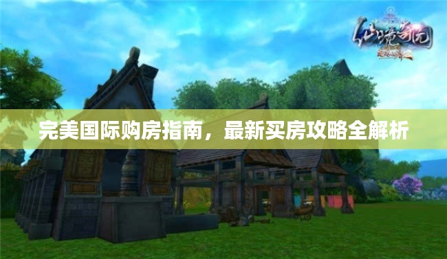 完美国际购房指南，最新买房攻略全解析