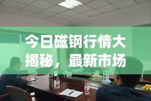 今日磁钢行情大揭秘,最新市场动态一网打尽