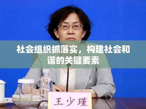 社会组织抓落实,构建社会和谐的关键要素