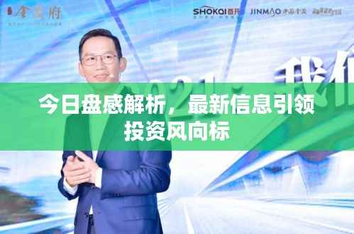 今日盘感解析,最新信息引领投资风向标