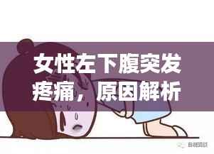女性左下腹突发疼痛，原因解析、应对方法与预防措施