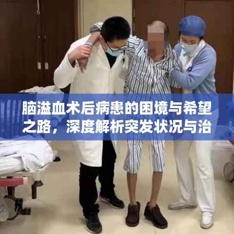 脑溢血术后病患的困境与希望之路,深度解析突发状况与治疗前景
