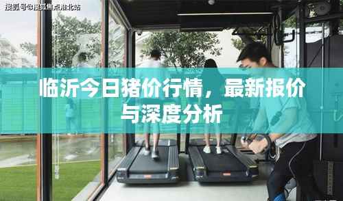 临沂今日猪价行情，最新报价与深度分析