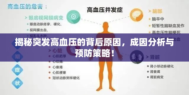 揭秘突发高血压的背后原因,成因分析与预防策略!