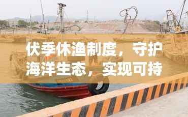 伏季休渔制度,守护海洋生态,实现可持续发展之路