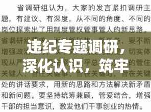 违纪专题调研，深化认识，筑牢防线，守护制度红线