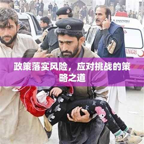 政策落实风险，应对挑战的策略之道